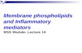 Membrane phospholipids and Inflammatory mediators MSS Module- Lecture 14