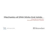 Mechanics of DNA Sticky End Joints