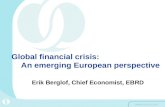 Global financial crisis:                             An emerging European perspective