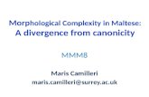 Morp hological Complexity in Maltese:  A divergence from canonicity