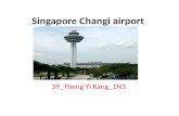 Singapore  Changi  airport