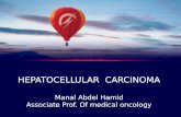 HEPATOCELLULAR  CARCINOMA Manal Abdel Hamid Associate Prof. Of medical oncology
