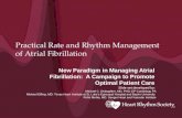 Practical Rate and Rhythm Management of Atrial Fibrillation