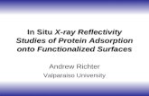 In Situ  X-ray Reflectivity Studies of Protein Adsorption onto Functionalized Surfaces