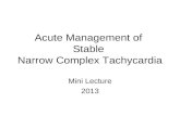Acute Management of  Stable  Narrow Complex Tachycardia