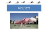Workplace Wellness “Why Stay Active?”