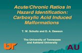 Acute/Chronic Ratios in Hazard Identification: Carboxylic Acid Induced Malformations