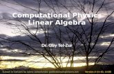 Computational Physics Linear Algebra