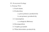 IV. Ecosystem Ecology A. Energy Flow 1. Food chains 2. Productiion
