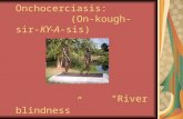 Onchocerciasis :                 (On- kough -sir- KY-A -sis) “ River blindness”