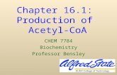 Chapter 16.1:  Production of  Acetyl-CoA