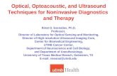 Optical, Optoacoustic, and Ultrasound Techniques for Noninvasive Diagnostics  and Therapy
