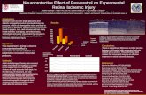 Neuroprotective Effect of Resveratrol on Experimental Retinal Ischemic Injury