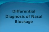 Differential Diagnosis of Nasal Blockage