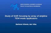 Study of SAR focusing by array of stripline TEM mode applicators B arbora Vrbov á , Jan  Vrba