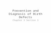 Prevention and Diagnosis of Birth Defects