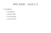 MIS 3200  – Unit 2.1