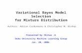 Variational Bayes Model Selection for Mixture Distribution