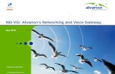 NG-VG:  Alvarion’s Networking and Voice Gateway