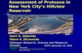 Assessment of Protozoa in New York City’s Hillview Reservoir