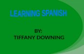 LEARNING SPANISH