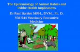 The Epidemiology of Animal Rabies and Public Health Implications