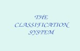 THE CLASSIFICATION SYSTEM