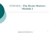 STROKE:   The Brain Matters Module I