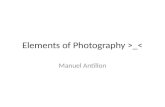 Elements of Photography >_