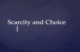 Scarcity and Choice