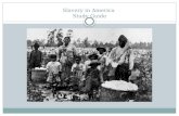 Slavery in America  Study Guide