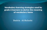 Vocabulary learning strategies used by grade 6 learners to derive the meaning of vocabulary items