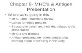 Chapter 8- MHC’s & Antigen Presentation