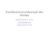 Transforaminal endoscopic disc therapy
