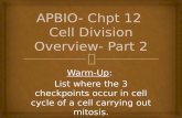 APBIO-  Chpt  12  Cell Division Overview- Part 2