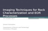 Imaging Techniques  f or  R ock Characterization and EOR Processes