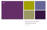 Structure of MS Government