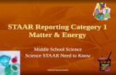 STAAR Reporting Category 1 Matter & Energy