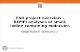 PhD project overview - REMPI analyses of small, iodine containing molecules