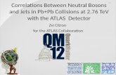 Zvi Citron  for the ATLAS Collaboration