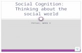 Social Cognition:  Thinking about the social world