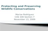 Protecting and Preserving Wildlife Conservations