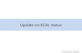 Update on ECAL status