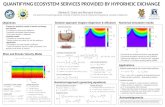 QUANTIFYING ECOSYSTEM  SERVICES PROVIDED BY  HYPORHEIC EXCHANGE
