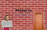 Hello, welcome to an introduction to Malaria. Please enter.