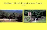 Hubbard  Brook Experimental Forest 1955