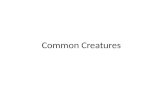 Common Creatures