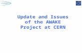 Update and Issues of the AWAKE Project at CERN