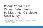 Robust Winners and Winner Determination Policies under Candidate Uncertainty