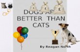 DOGS  ARE BETTER  THAN CATS